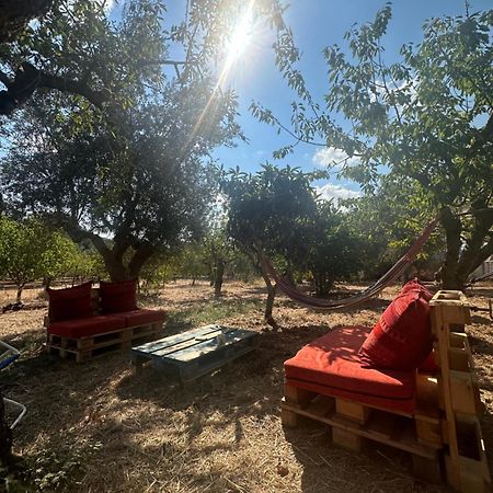 B&B Villa Tiziana Монополі Екстер'єр фото